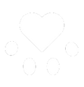 8.png