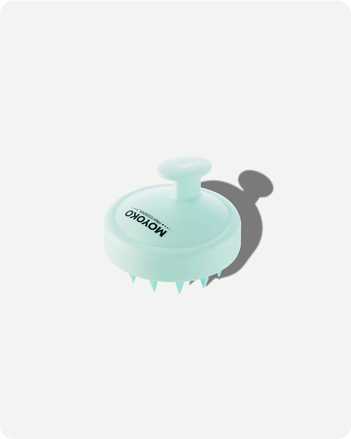 Scalp Brush